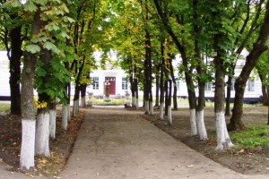 Обзорная экскурсия по Любечу
